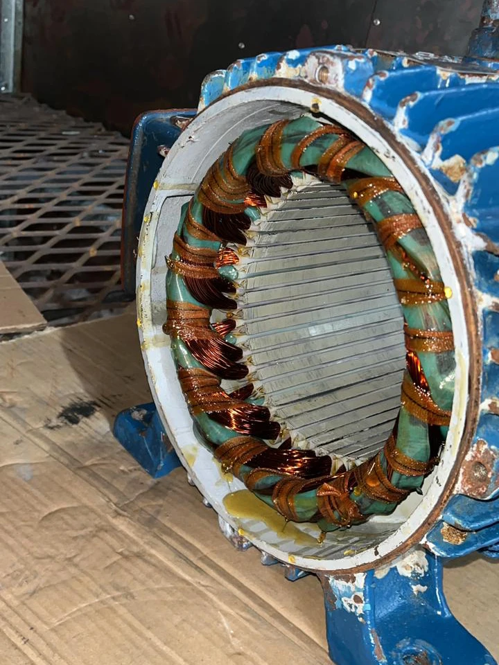 WhatsApp Image 2026-01-13 at 11.08.00